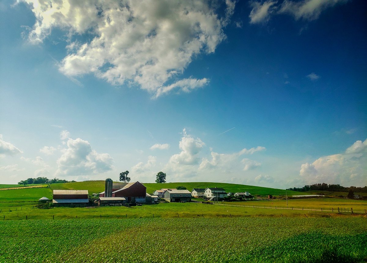 Paisagem rural em campo aberto no final da primavera